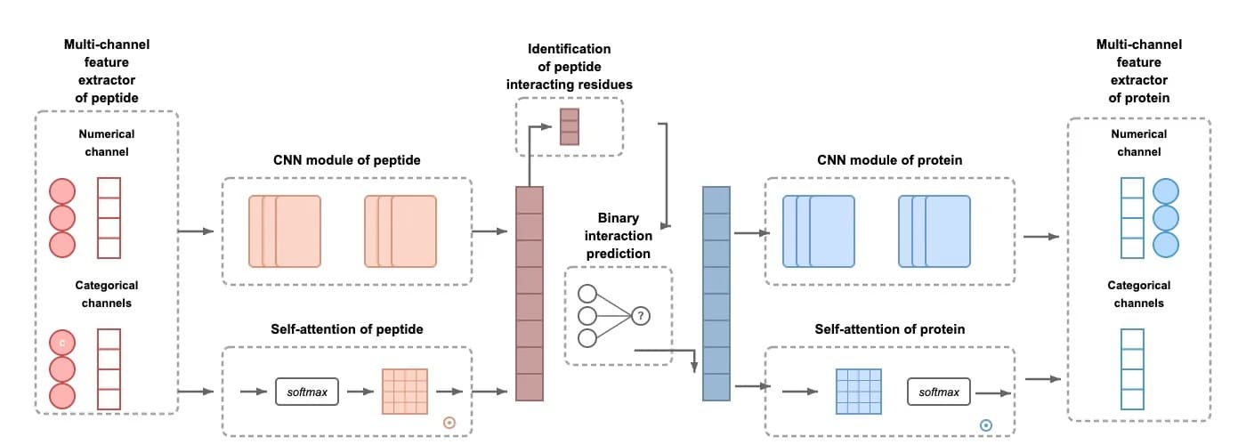 Multi-channel neural network architecture diagram