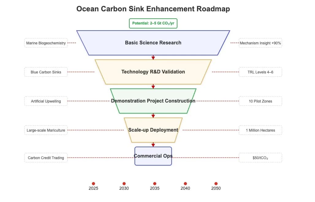 Ocean carbon sink enhancement roadmap flowchart